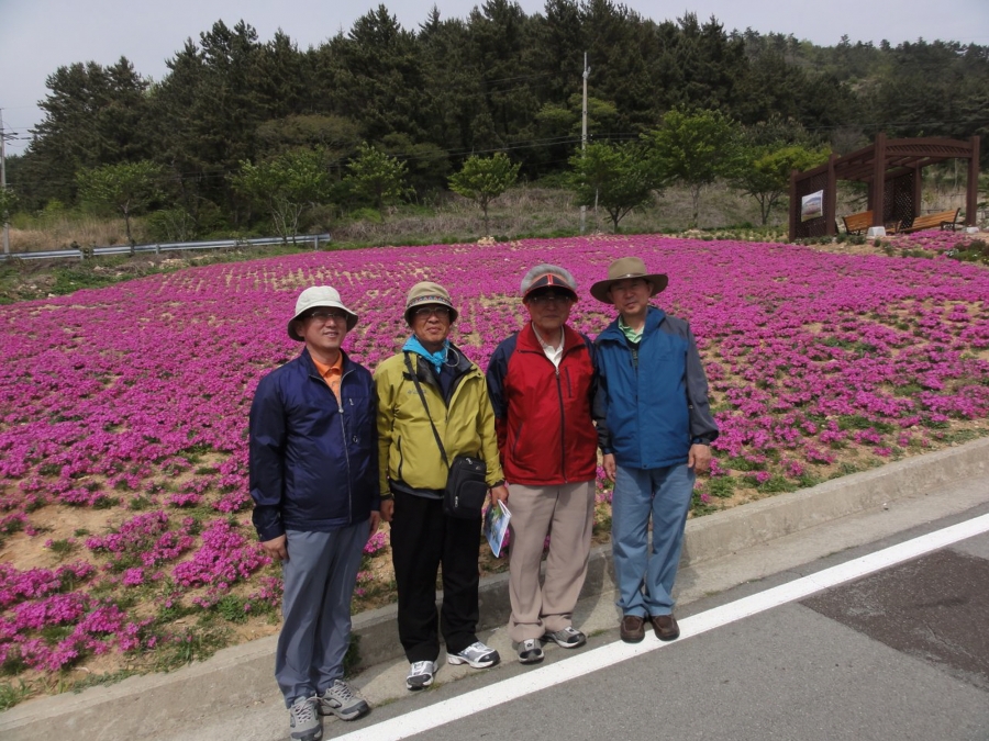 2010년 시온 성가대 청산도 야유회